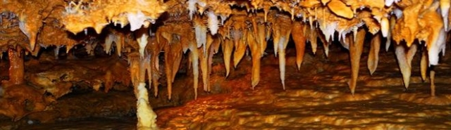  Espeleología Fun Trip 